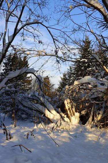 Winter landscape in December thumb