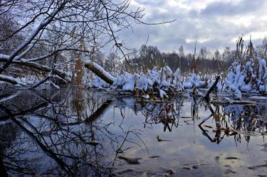 Winter landscape in December thumb