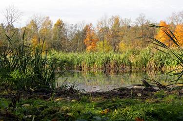 Autumn landscape in September thumb