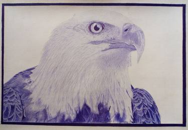 Original Fine Art Animal Drawings by Ilechukwu Nzube Chisom