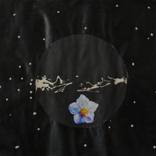 Eternity by the stars - Jeanne Baret by Pascal STuTZ