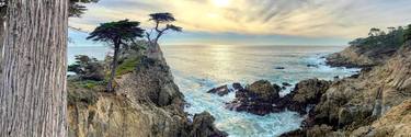 The Lone Cypress - Limited Edition of 50 thumb