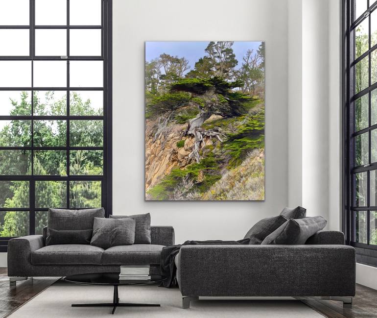 Original Contemporary Landscape Photography by Christina Ford