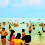 Collection In Celebration of Summer