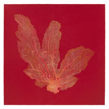 Original Realism Nature Printmaking by Jo de Pear