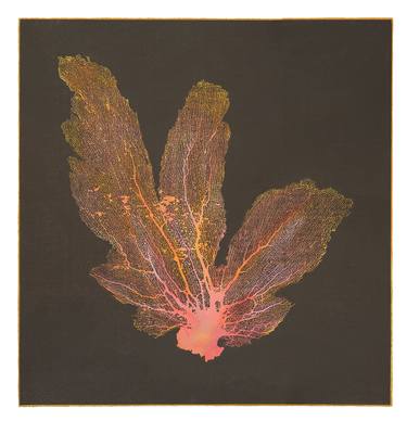 Original Documentary Nature Printmaking by Jo de Pear