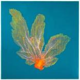 'Gorgonian Blue' by Jo de Pear