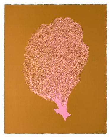 Sea Fan VI  Pink/ Tumeric thumb