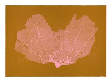 Original Realism Nature Printmaking by Jo De Pear