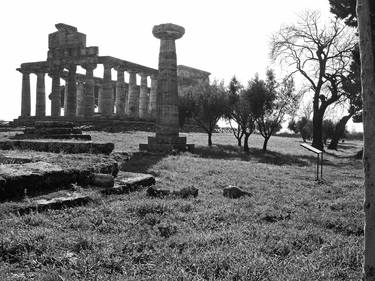 Paestum temple column trees thumb