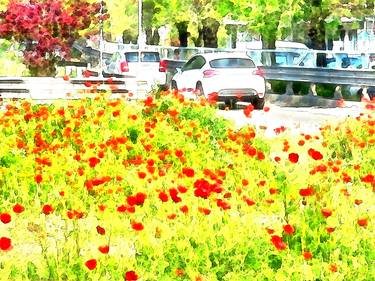 Poppies in the city thumb