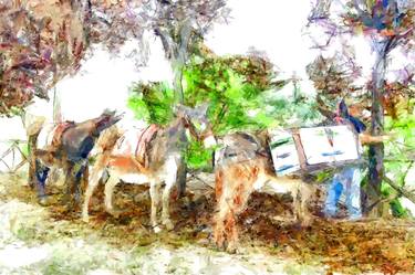 Donkeys for the recycling of garbage thumb