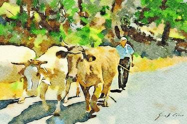 Shepherd with cows on the road thumb