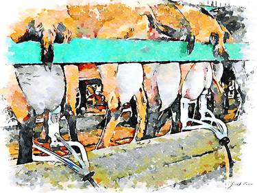 Goats at milking thumb