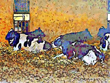 Cows lying in the stable thumb