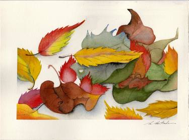 Original Fine Art Nature Drawings by Motoko Matsuda