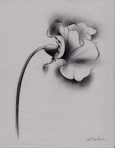 Original Floral Drawings by Motoko Matsuda