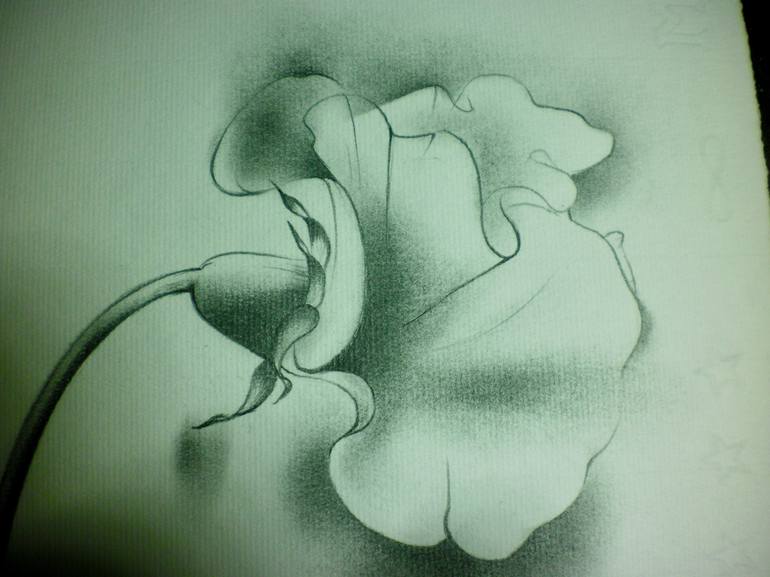 Original Fine Art Floral Drawing by Motoko Matsuda