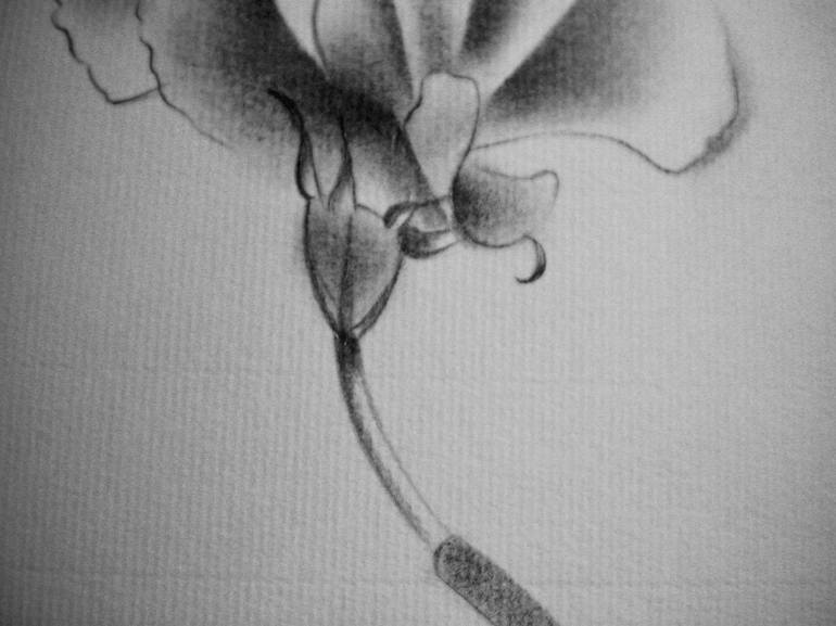 Original Fine Art Floral Drawing by Motoko Matsuda