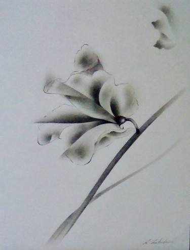 Print of Fine Art Floral Drawings by Motoko Matsuda