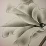 Close up3