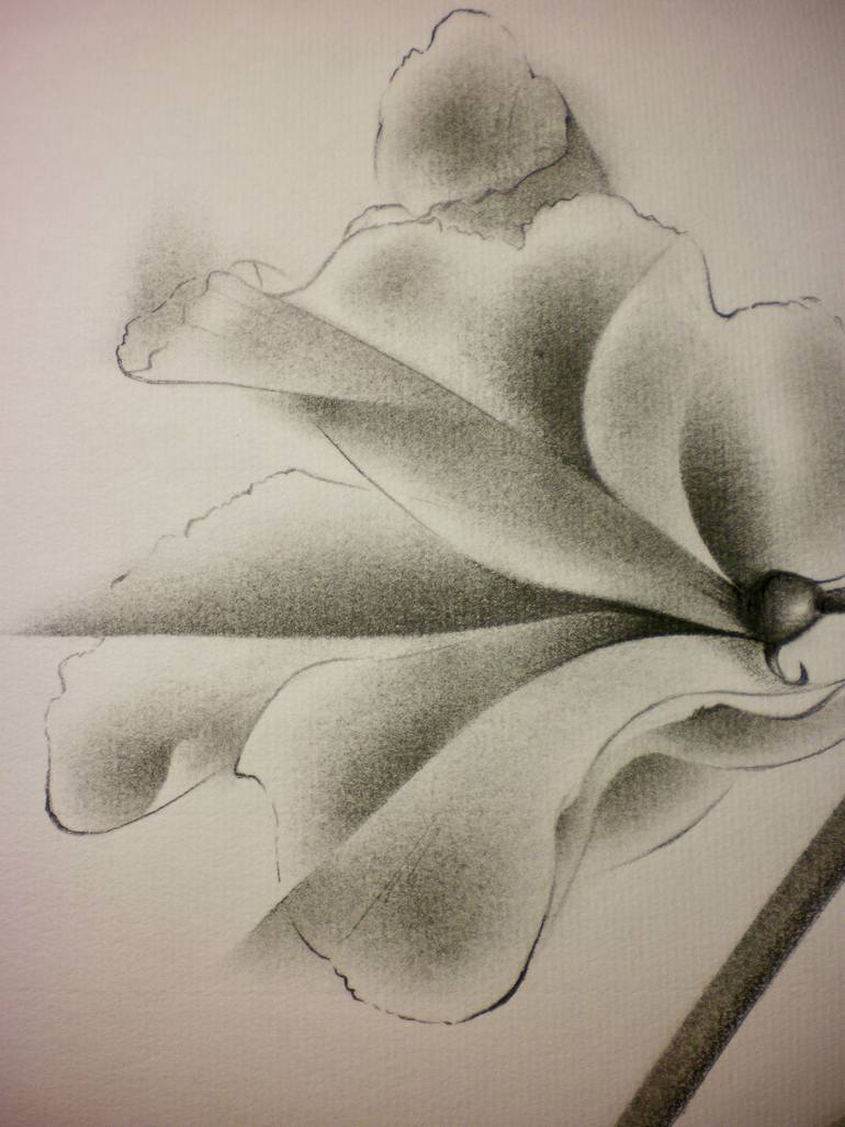 Original Conceptual Floral Drawing by Motoko Matsuda