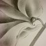 Close up1