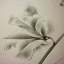 Close up5