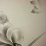 Close up4