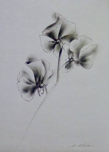 Original Fine Art Floral Drawings by Motoko Matsuda