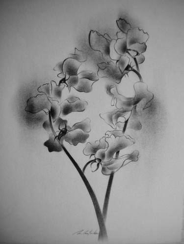 Original Fine Art Floral Drawings by Motoko Matsuda