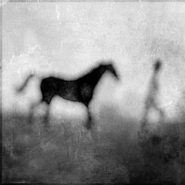 Print of Fine Art Horse Photography by Pete Kelly