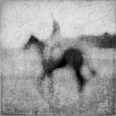 Original Fine Art Horse Photography by Pete Kelly