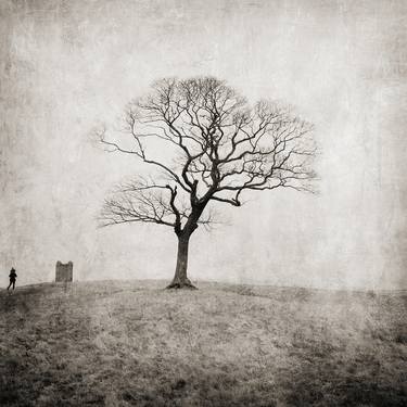 Original Fine Art Tree Photography by Pete Kelly