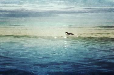 Zeb in the Sea - Limited Edition Photo Encaustic thumb
