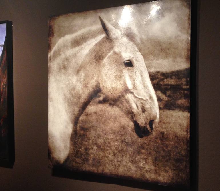 Original Fine Art Horse Photography by Pete Kelly