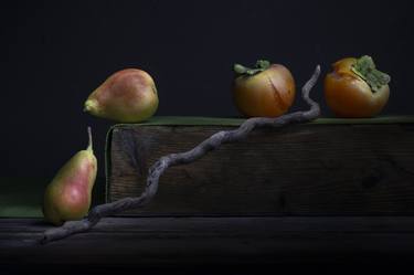 Original Conceptual Still Life Photography by Fatima Li Cavoli