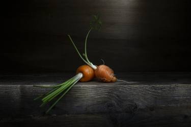 Original Fine Art Still Life Photography by Fatima Li Cavoli