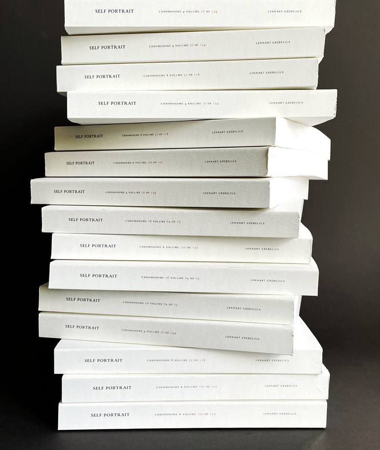 Original Conceptual Science/Technology Sculpture by Lennart Grebelius