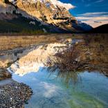 Canadiana by Gerad Coles