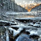Cold Morning on Olive Lake by Gerad Coles