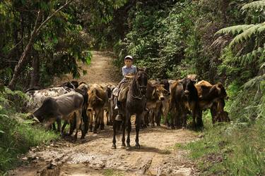 Print of Surrealism Rural Life Photography by Andres Galan