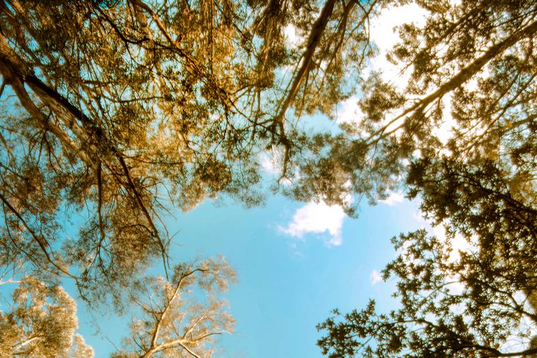 Original Symbolism Landscape Photography by Andres Galan