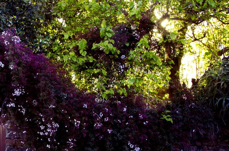 Original Symbolism Still Life Photography by Andres Galan