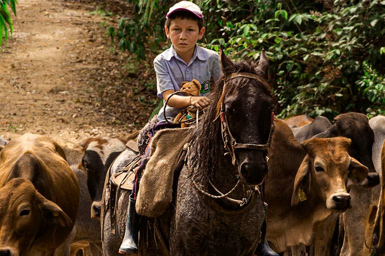Original Symbolism Rural Life Photography by Andres Galan