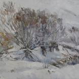 Frosty Winter by Teymur Agalioglu