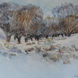 Sunny Winter by Teymur Agalioglu