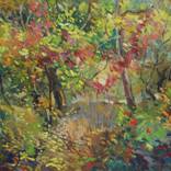 Summer Colors by Teymur Agalioglu