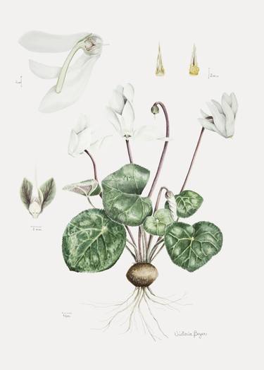 Original Fine Art Botanic Paintings by Victoria Beyer