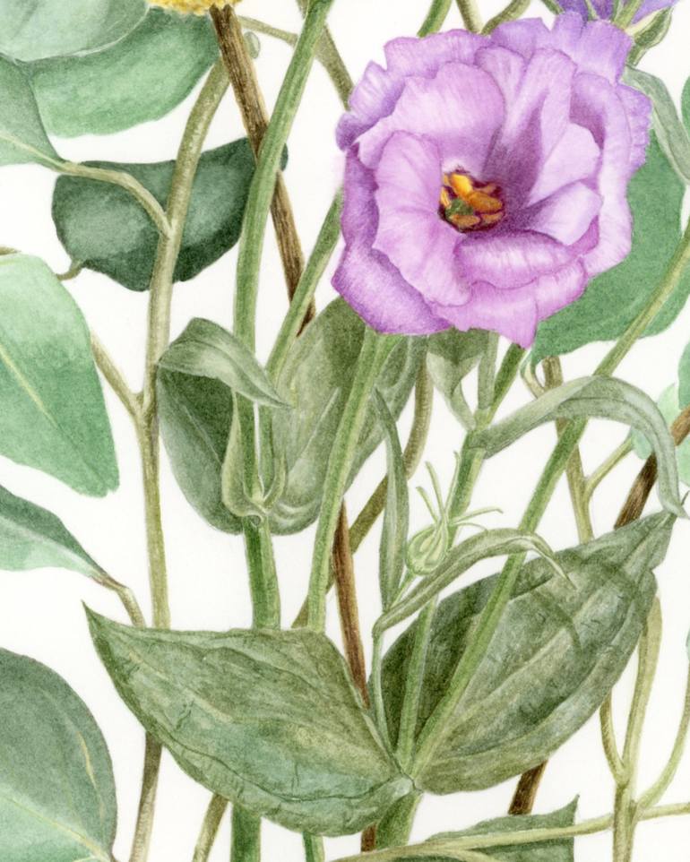 Original Botanic Painting by Victoria Beyer